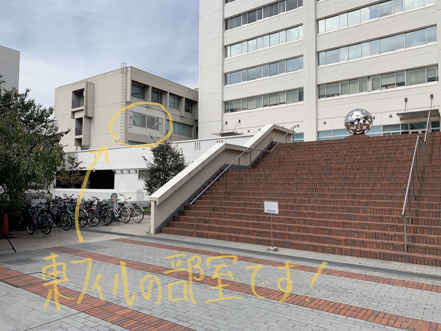 吹奏楽部 東邦大学 新歓22 吹奏楽部 東邦大学 新歓22